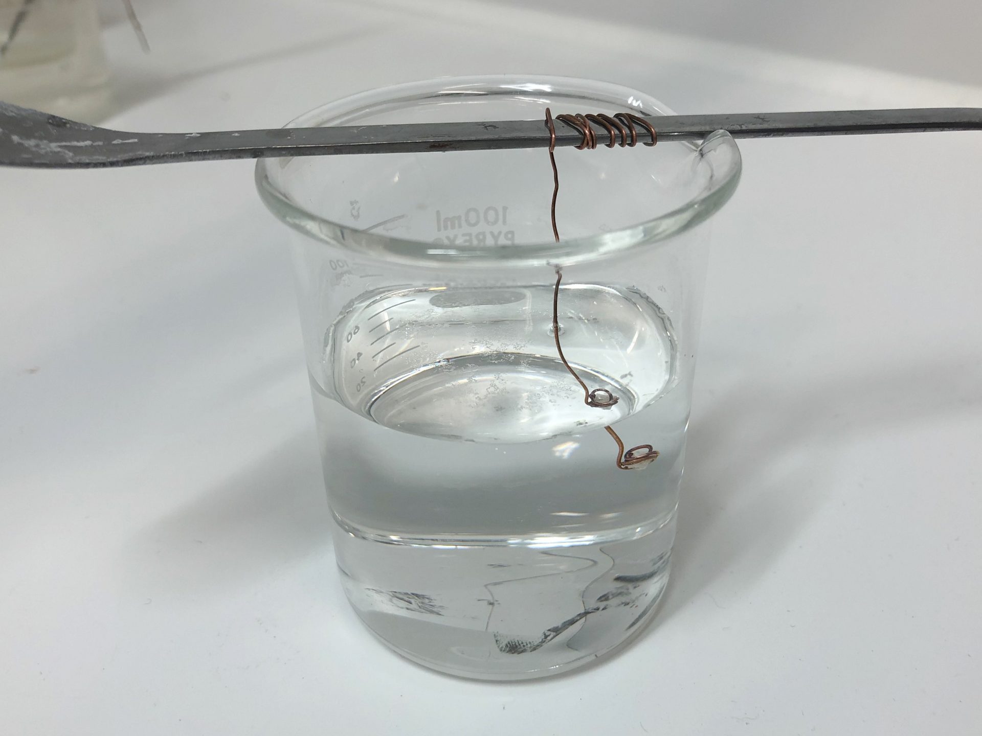 塩の巨大結晶作り2 埼玉栄中学 高等学校